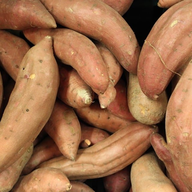Sweet Potato Orange