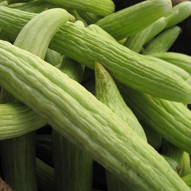 Armenian Cucumber
