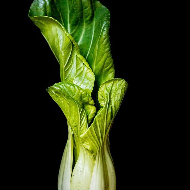 Bok Choy Shanghai