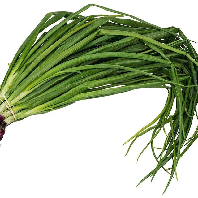 Scallion Green