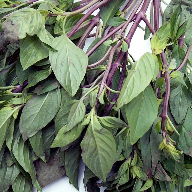 Thai Basil