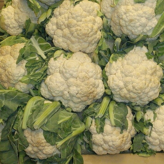 Cauliflower Head